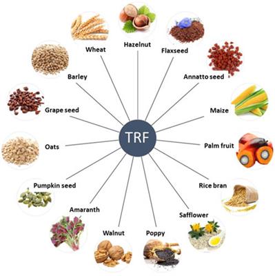 Preventative and therapeutic potential of tocotrienols on musculoskeletal diseases in ageing